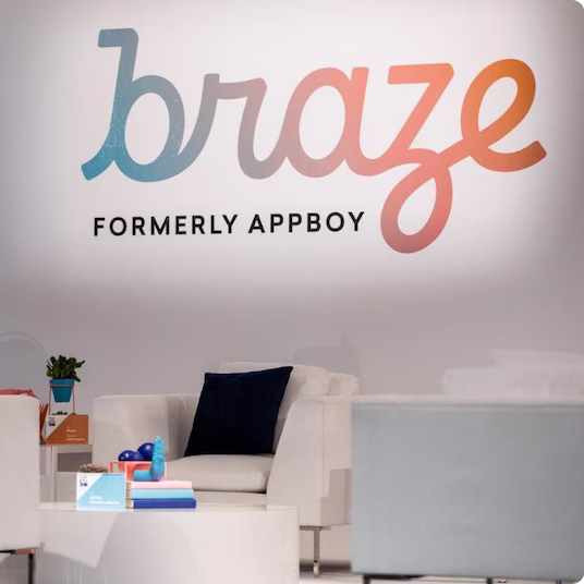 The Canvas Playbook microsite built by Braze with Zoomforth