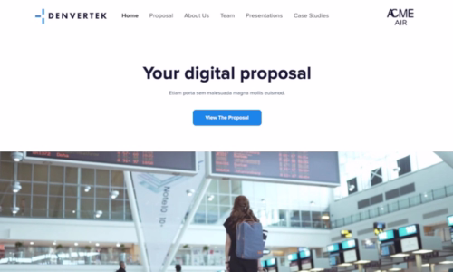 Screenshot of a professional services RFP response microsite built with Zoomforth.