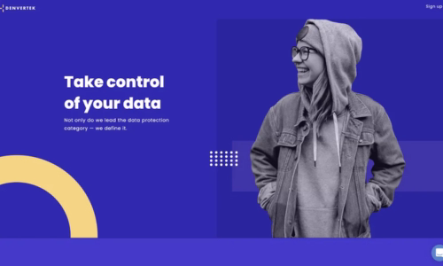 Screenshot of microsite template for Sales