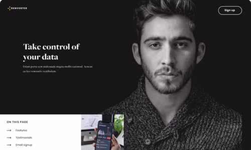 Screenshot of microsite template for Sales