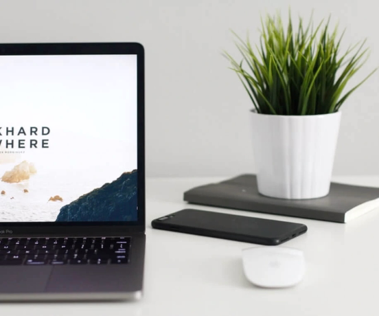A laptop, a mobile phone and a house plant.