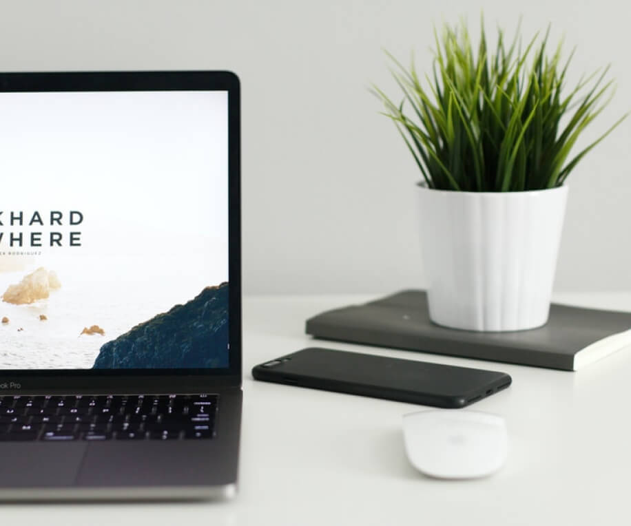 A laptop, a mobile phone and a house plant.