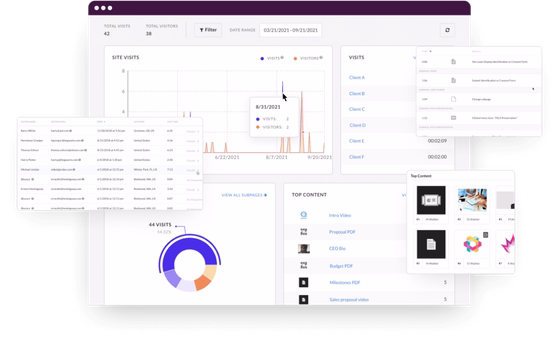 Collage of Zoomforth analytics visualizations.