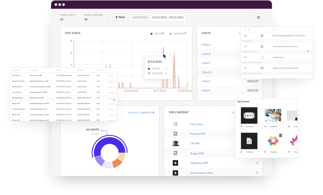 Collage of Zoomforth analytics visualizations.