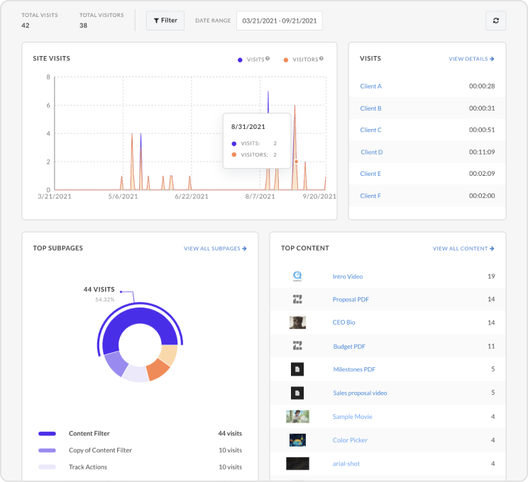 Collage of Zoomforth analytics visualizations.