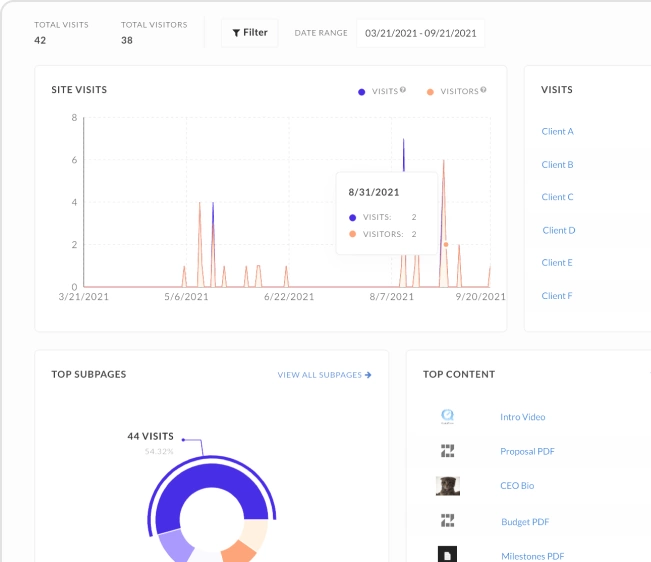 Collage of Zoomforth analytics visualizations.
