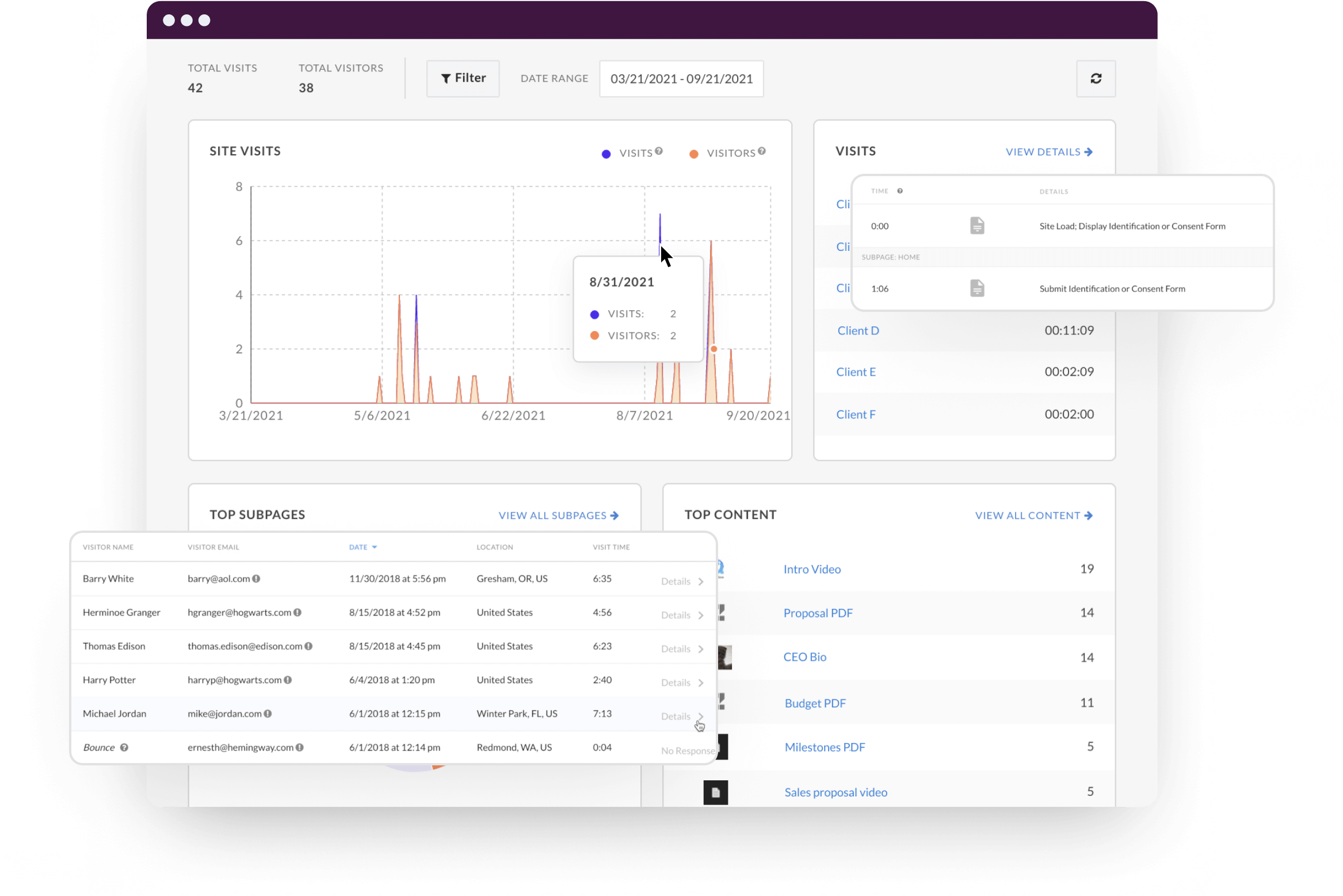 Collage of Zoomforth analytics visualizations