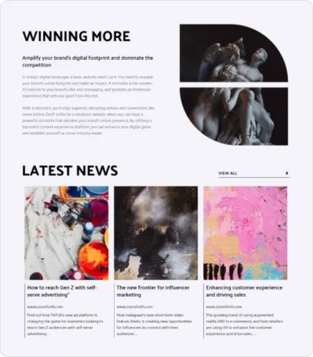 Screenshot of a website used for sales.